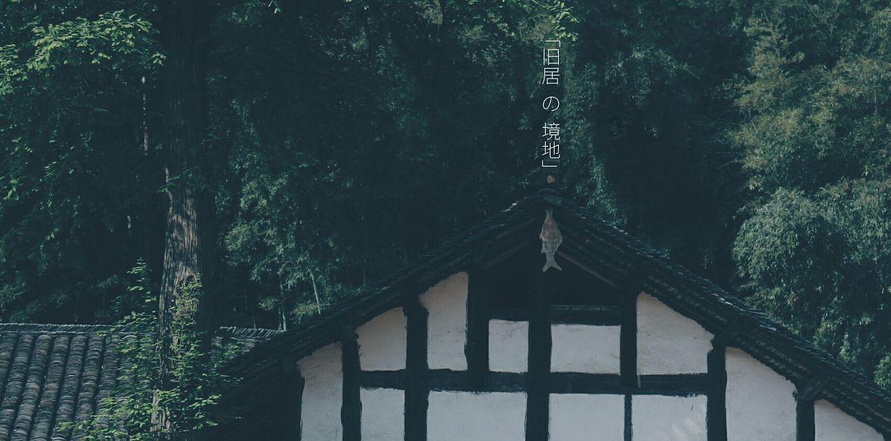 生日能干点什么有意义的事情?-自由的百科全书